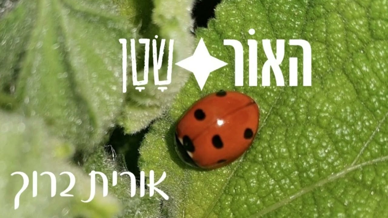האור: שטן / אורית ברוך