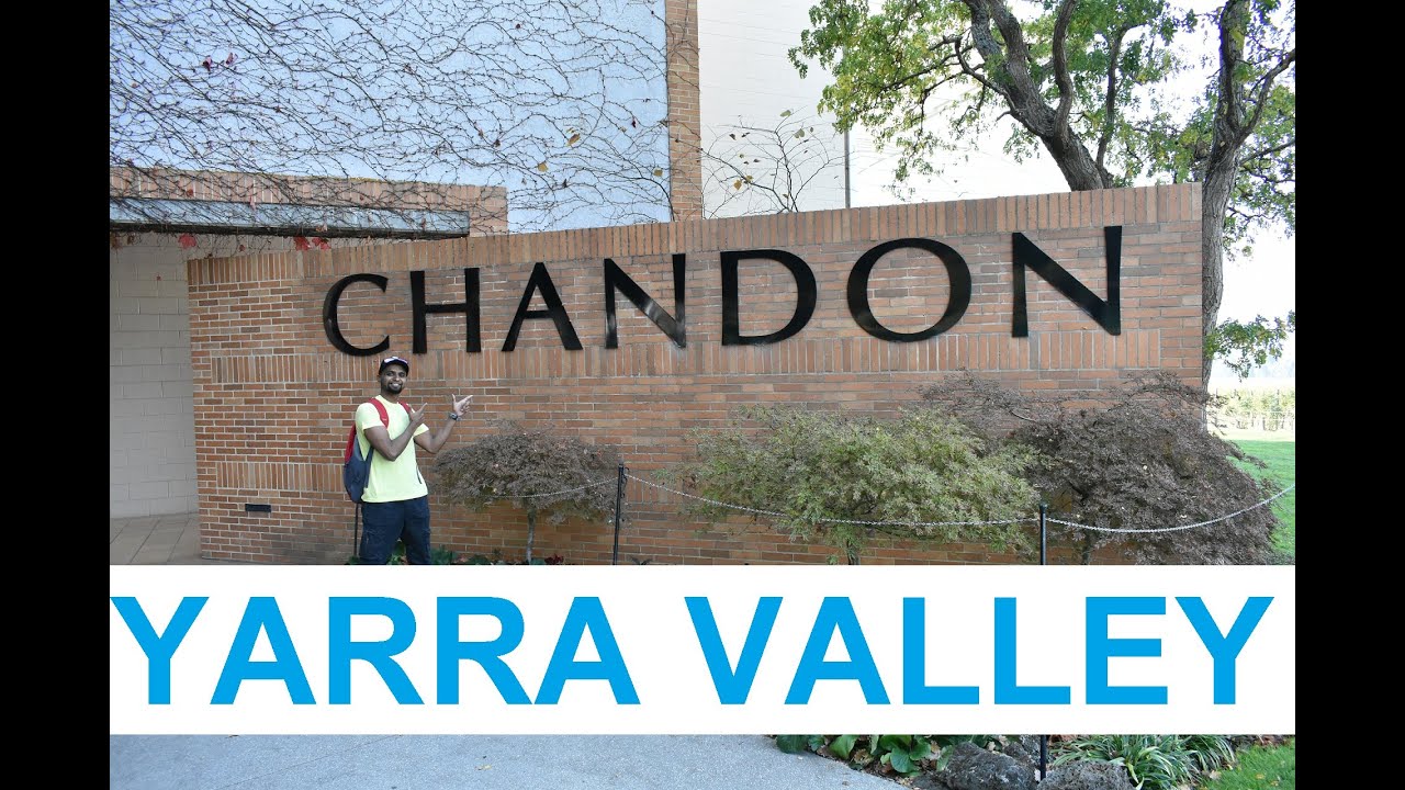 Yarra Valley Melbourne / 1 Day Wine Tour / Punt Road / Balgownie Estate/ Chandon 