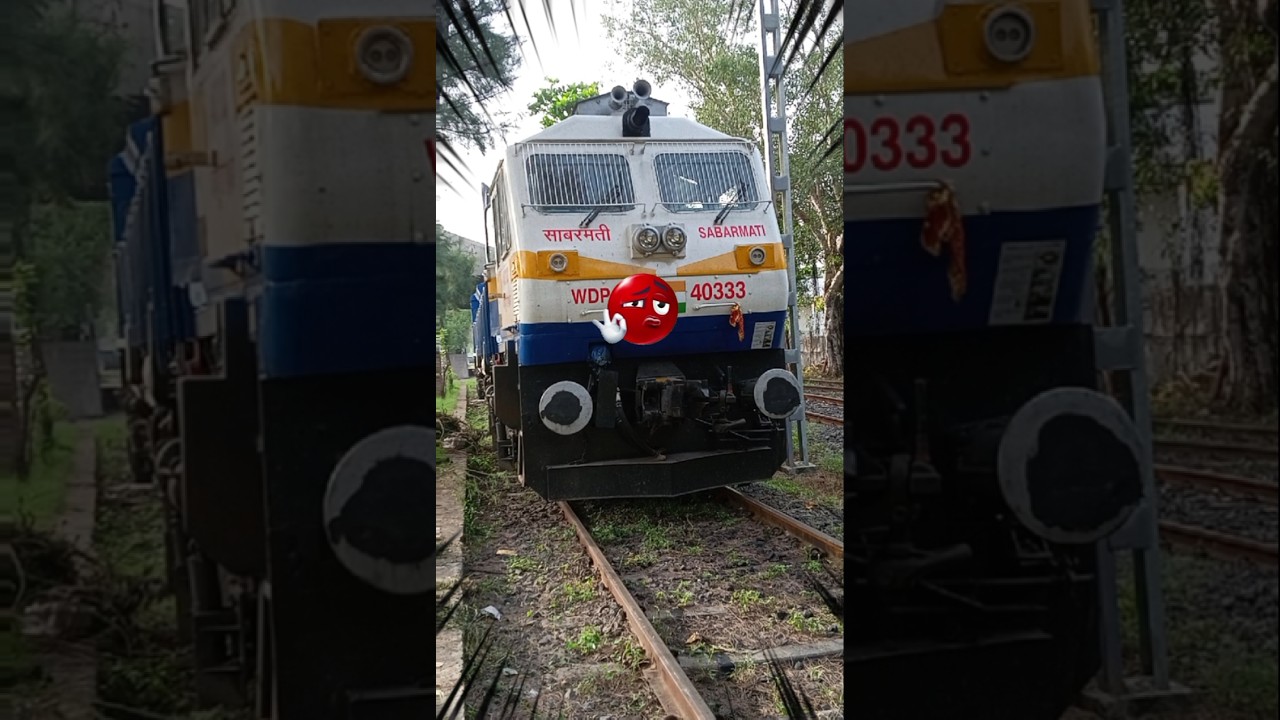 WDP 4D | Attitude 💀