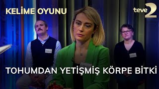 Kelime Oyunu: Tohumdan yetişmiş körpe bitki