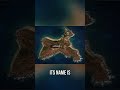 Jeffrey Epstein's Secret Caribbean Island Revealed #shorts