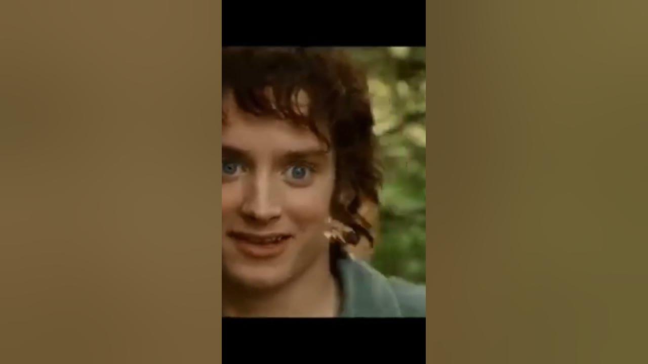 The Shire will go on (Music Meme) #theshire #meme #lotr