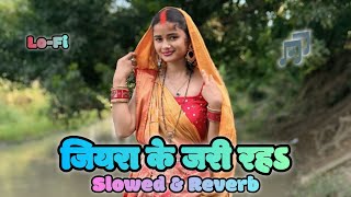 Jiyra Ke Jari Raha | जियरा के जरी रहऽ | LoFi | Neelkamal Singh | Bhojpuri LoFi Song | Bhojpuri LoFi