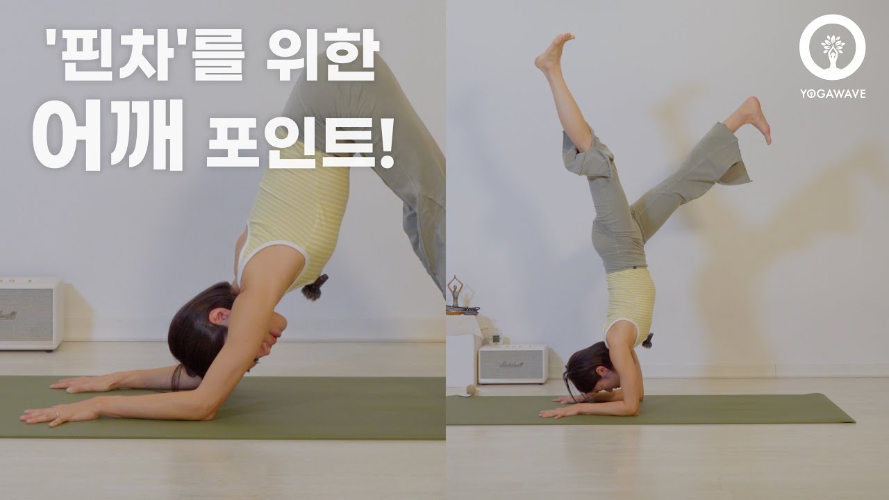 핀차마유라사나를 위한 어깨 포인트!