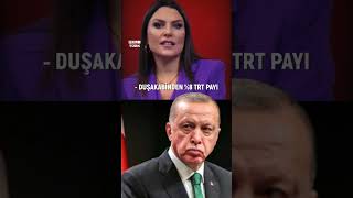 Gazeteci Ece Üner Dünyanın En Yaratıcı Vergisini Bulduk