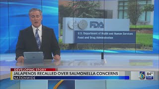 6 News at 5 p.m.: The Headlines - August 10, 2026