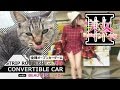 Convertible Car Game II Ep3 | 全ラオープンカーゲームwith美女 第3話 ［〇〇みたいな撮影］