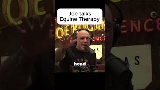 Joe talks Equine Therapy #jre #joerogan #joeroganexperience