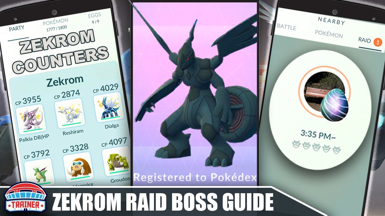 THE *ZEKROM* COUNTER GUIDE! 100 IVs, MOVESET & WEAKNESS - DRAGON
