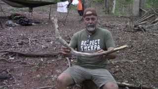 Hand Drill ~ Yucca on Trumpet Vine