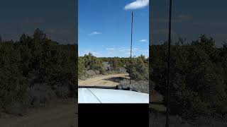 How to Get a Free Diesel Heater | Trail Talk 🚙
