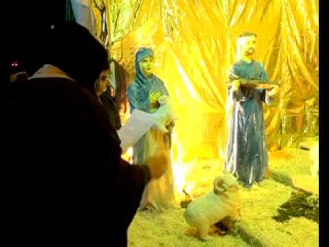 الميلاد في عين الريحانة نور ونجمة
