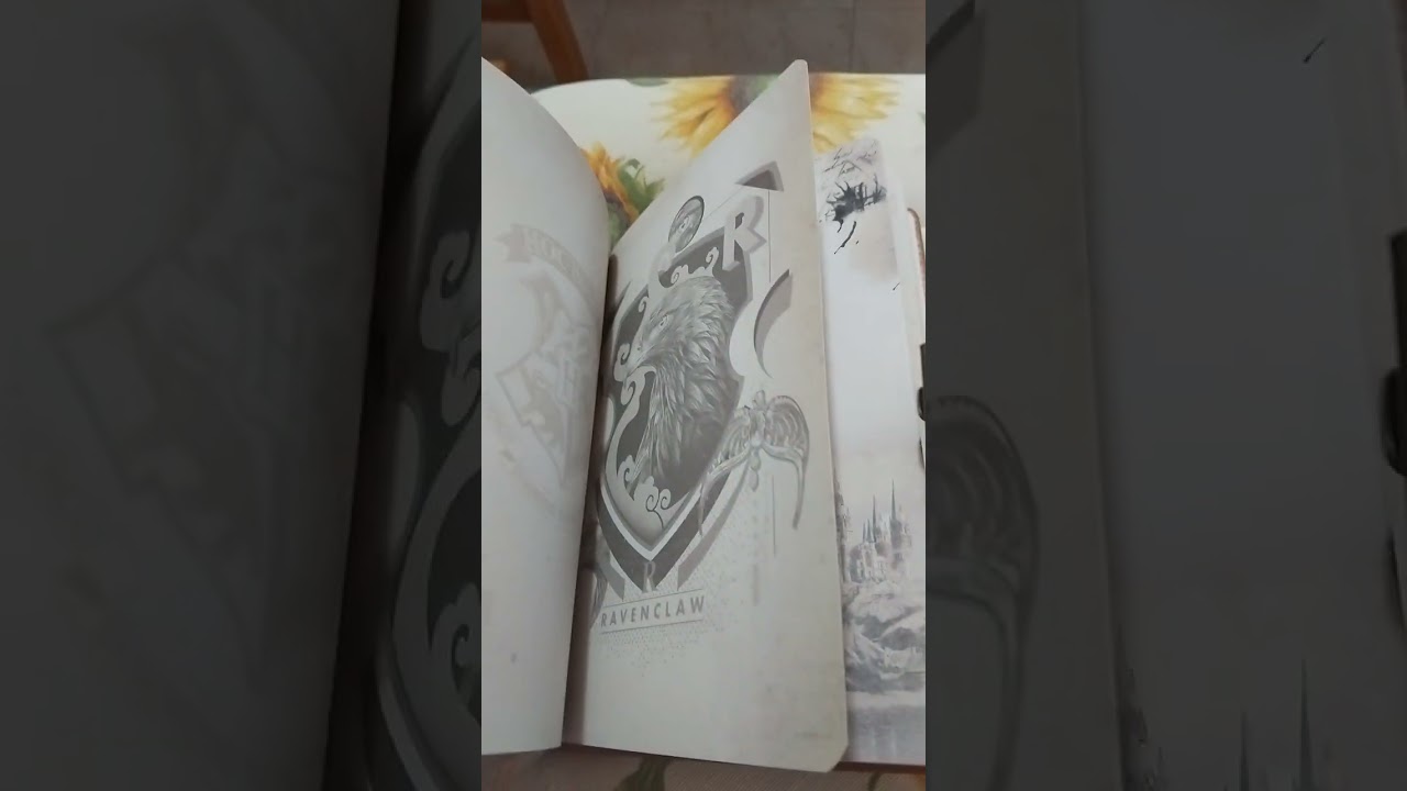 Agenda Quaderno Harry Potter di Grifondoro 