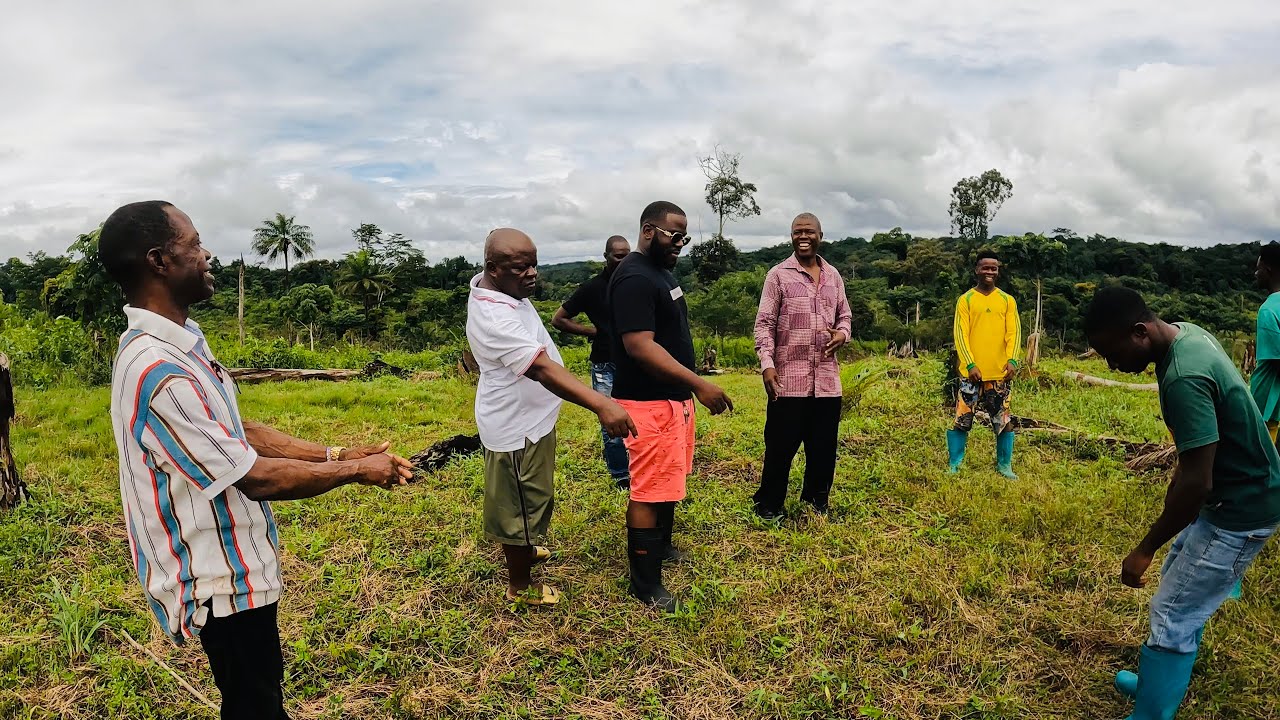 Прогулка по нашей семейной ферме площадью 300 акров в округе Гбарполу, Либерия 🇱🇷