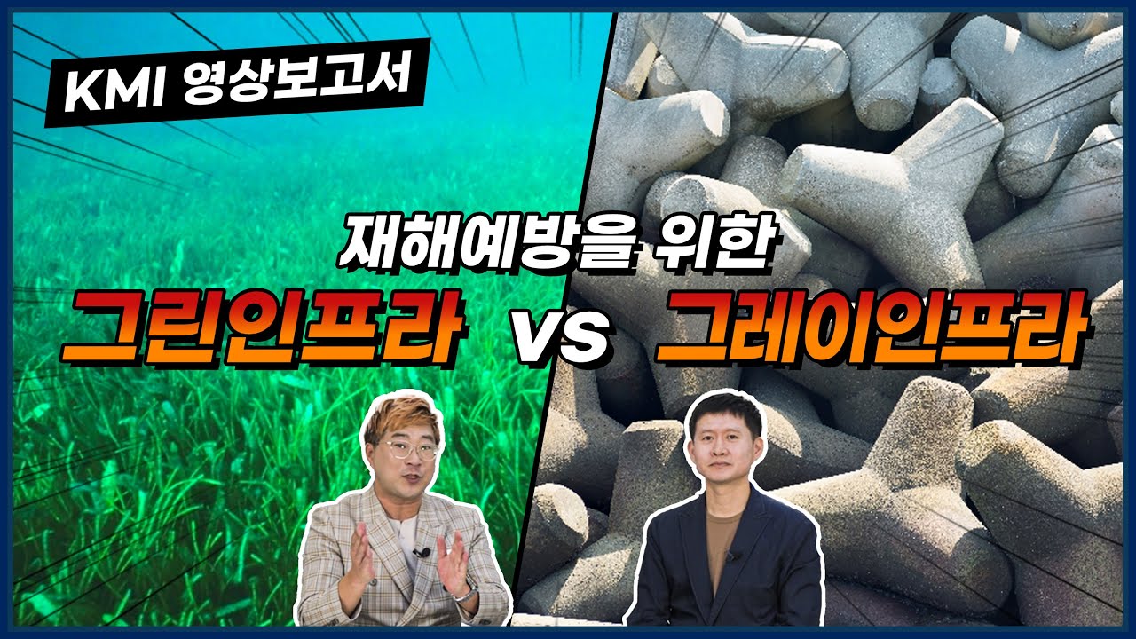 재해예방을 위한 '그린인프라' vs '그레이인프라'