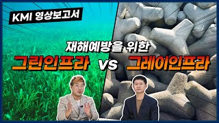 재해예방을 위한 '그린인프라' vs '그레이인프라'