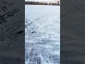 Парус