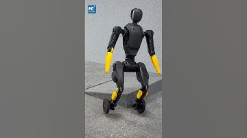 China releases self-transforming robot