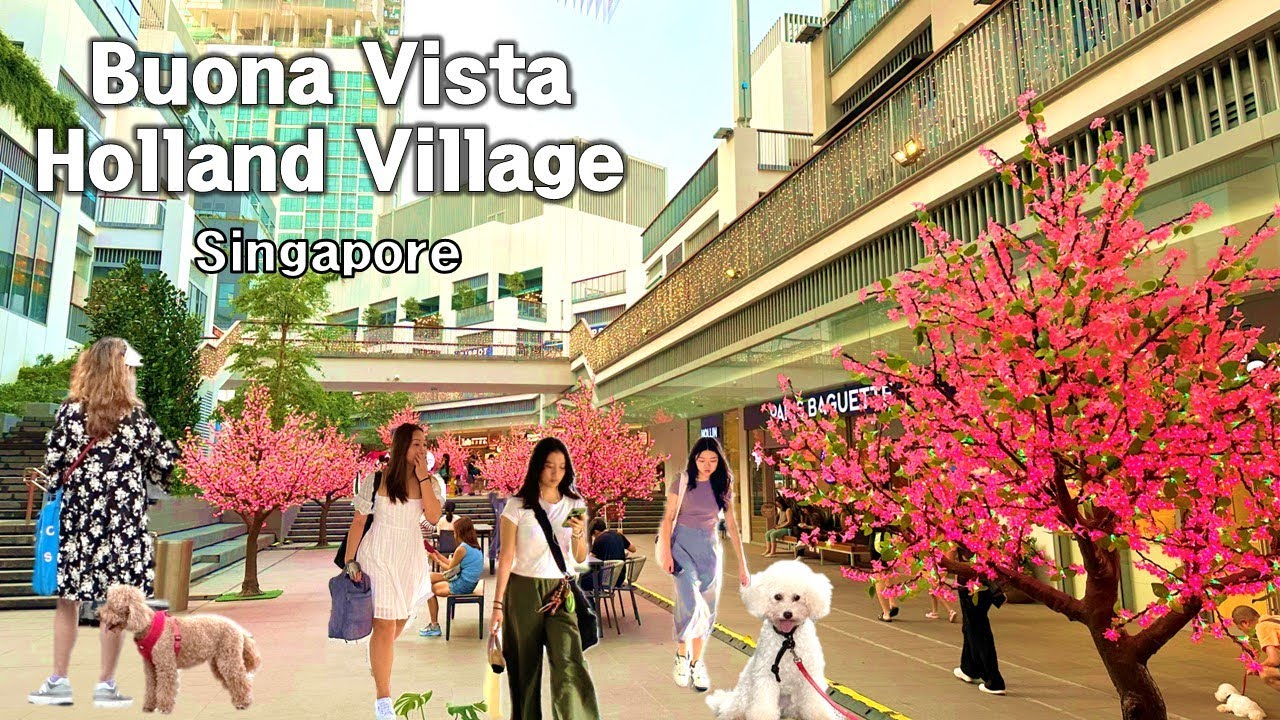 the-neighborhoods-of-buona-vista-and-holland-village-singapore