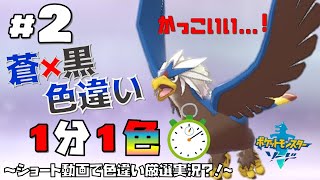 1分1色 ２ 野生色違いウォーグルを捕まえよう Shorts ゆっくり実況 ポケモン剣盾 Youtube