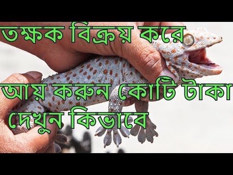 ভিডিও: স্কারলেট সেল