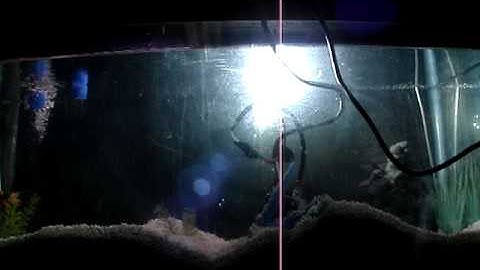 ORACLE Underwater HID Kit Test