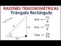 RAZONES TRIGONOMÉTRICAS en triángulos rectángulos - Características y ejemplos