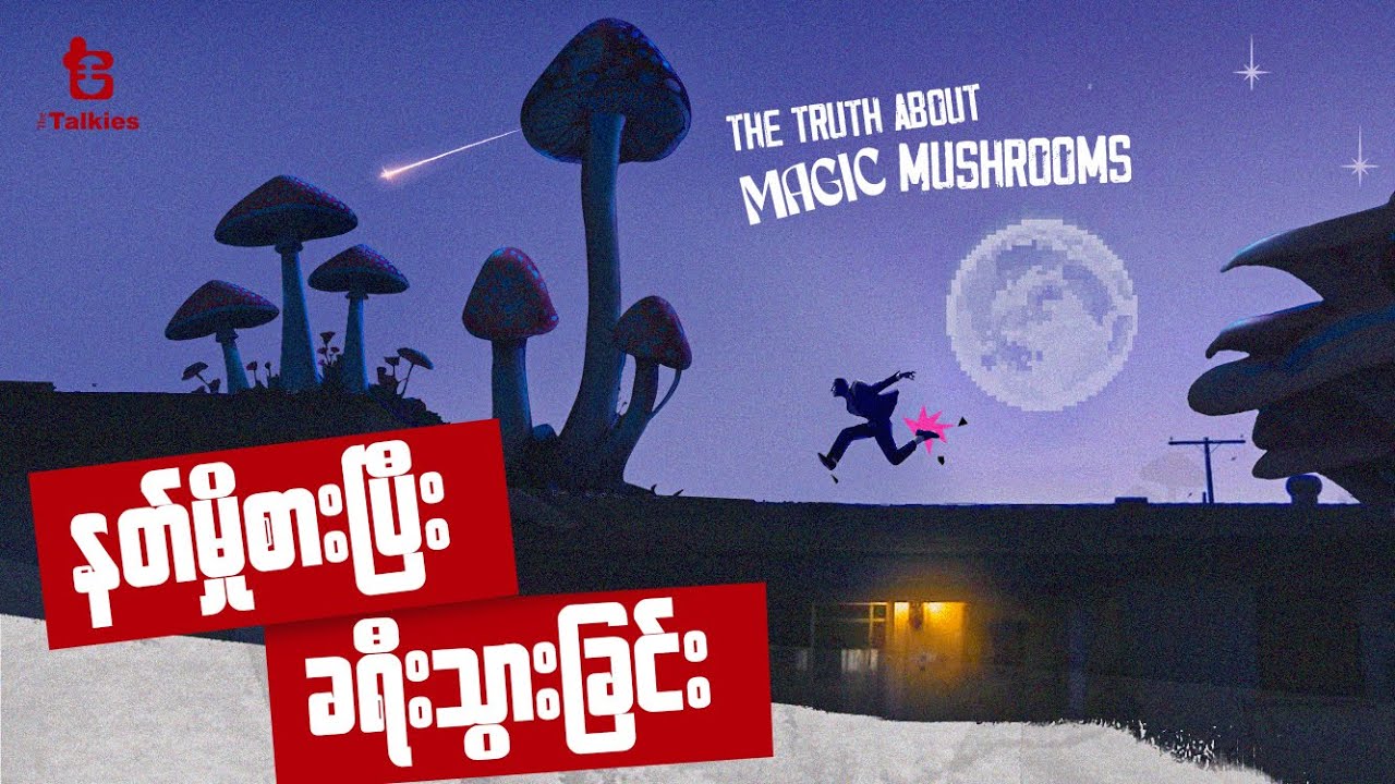 နတ်မှိုစားပြီးခရီးသွားခြင်း | A Trip with Magic Mushroom