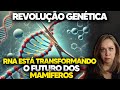 MODIFICAÇÃO GENÉTICA COM rrrrrrnnnnaaaa