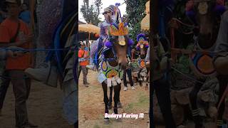 Download Lagu Kuda Renggong Sumedang ‼️ Kuda PANJI Live Cilimus, Sumedang #KR_Tanjungsiang MP3