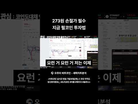 273원 손절가 필수 지금 펄코인 투자법 #shorts