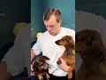 СЪЕДОБНЫЕ УШКИ СЪЕДОБНЫЕ УШКИ