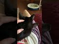 Morgan video