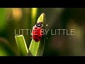 Little By Little - Oasis