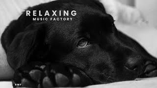 Soft piano music with adorable puppy images on the background for meditation and relaxation screenshot 2