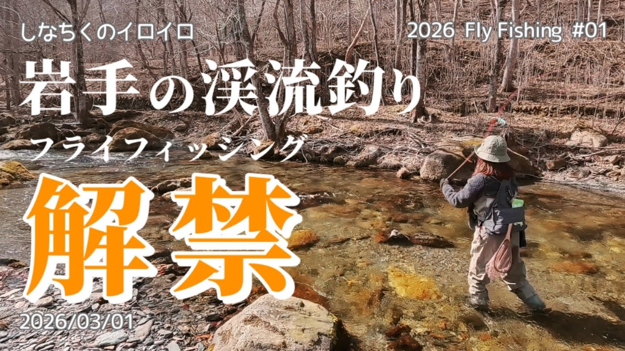 【フライフィッシング】岩手の渓流釣り「解禁」（2026/03/01）