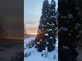 ice snow rain #qurantranslation #quranvideo #snowwhite