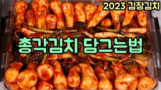 총각김치 맛있게 담그는 법 필수재료로 깊은맛을 내는 방법 심방골주부 기본에 충실한 김치