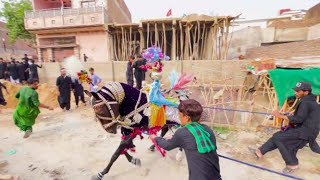 Zuljana 05 Muharram 1447-2025 Hussainabad Hyderabad