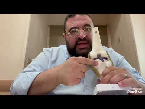 شرح كل الام الركبه و الخشونه و الرباط الصليبى و الغضروف الهلالى و علاجها بدون جراحه اد محمد يسرى