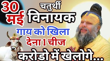 30 में विनायक चतुर्थी गाय को खिला देना केवल यह एक चीज। Pradeep Mishra upay | Vinayak chaturthi