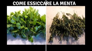 COME ESSICCARE LA MENTA A CASA/METODO SEMPLICE PER ESSICCARE LA MENTA/ESSICCAZIONE /Heidi Factotum