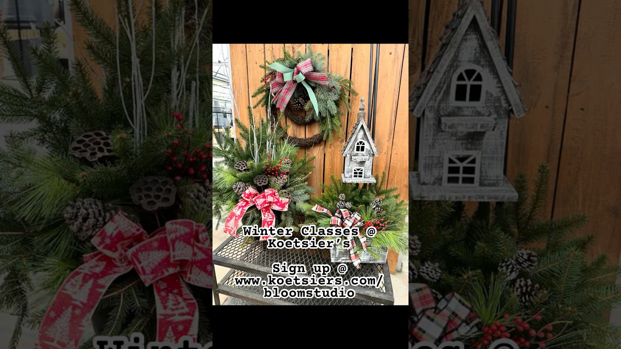 Winter Classes Coming Soon! ❄️🎄