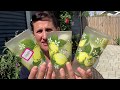 Peek in to Summer***What Have I Been Saving?***Storage Haul