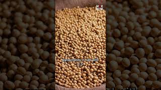 China to buy billions worth of US soybeans after Trump complaints