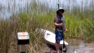 edisto kayak trip 2015