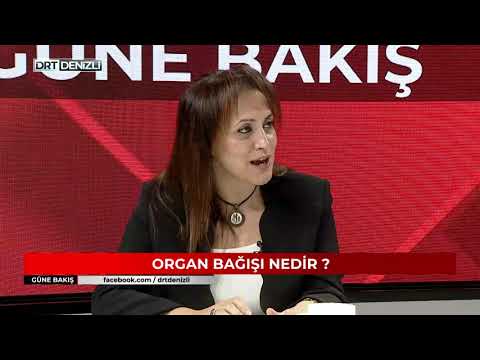 07112019 güne bakış berna öztürk