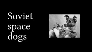 Wikipedia Read Aloud - Soviet space dogs