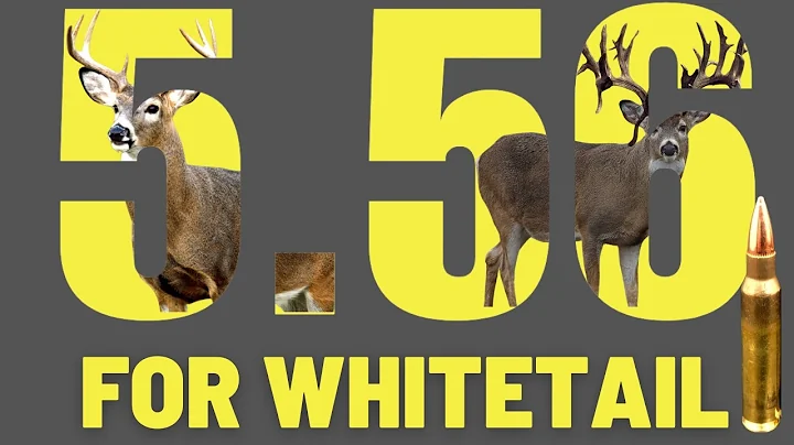 Can You Use A 5.56 For Deer Hunting?
