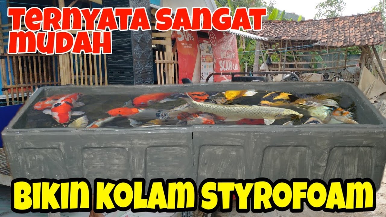 CARA BUAT KOLAM IKAN DARI STYROFOAM | Part 1